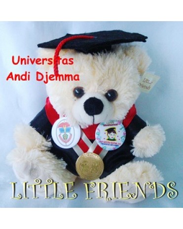 Boneka Wisuda Universitas Andi Djemma (25 cm)